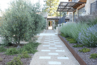Photo of a mid-sized contemporary full sun courtyard gravel garden path in San Francisco for spring.