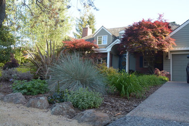 This is an example of a traditional garden in San Francisco.