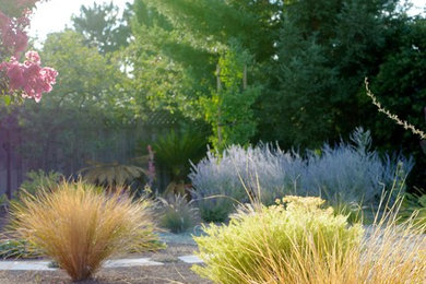 Los Altos Landscape Garden Design