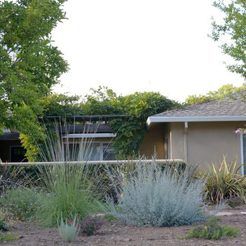 Los Altos Landscape Garden Design