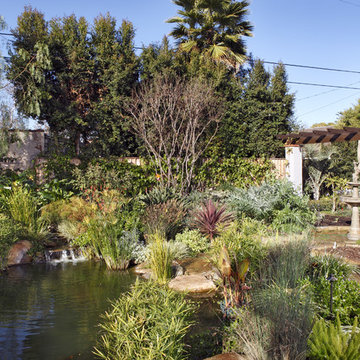 Los Angeles Whole House Remodel and Landscape Design