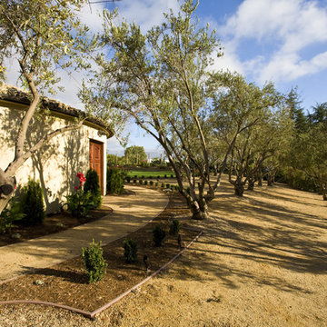 Los Gatos Mediterranean Custom Home