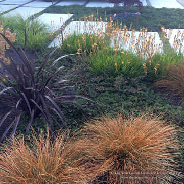 Lose the Front Lawn - Modern Water-Side Landscape Remodel - Novato, CA