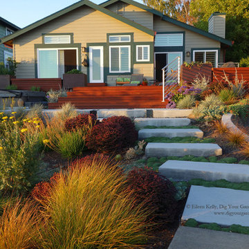 Lose the Lawn - Bel Marin Keys, Novato, CA - Landscape Alternative Ideas