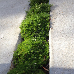 Inspiration for a contemporary landscaping in Orange County.