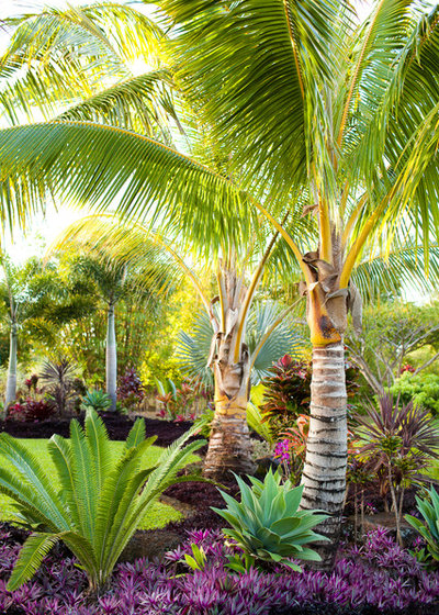 Tropical Landscape by Designscape Inc.