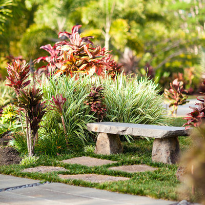 This is an example of a tropical backyard landscaping in Hawaii.