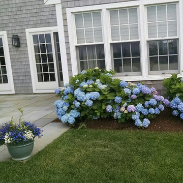 Lovely Hydrangea adorn the edge of a Pattern Blue Stone Patio that we at Dave Ry