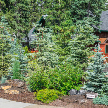Low Maintenance Front Yard With Rock Features Trees & Shrubs