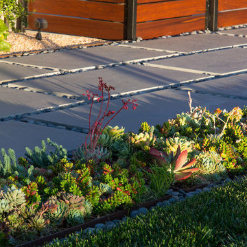 Low succulents and concrete pavers
