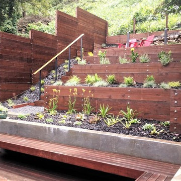 Low Voltage LED's Illuminate Drought Tolerant Planting