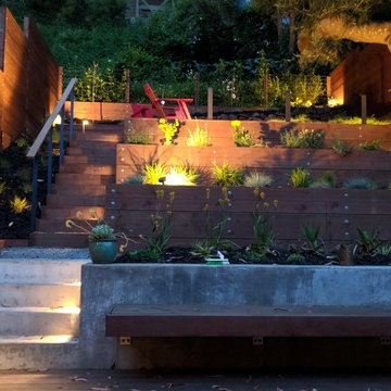 Low Voltage LED's Illuminate Drought Tolerant Planting