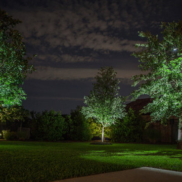Low Voltage Up Lighting and Moon Lighting- Southlake