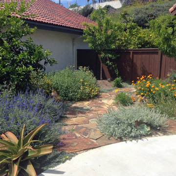 Low Water and Edible Landscape