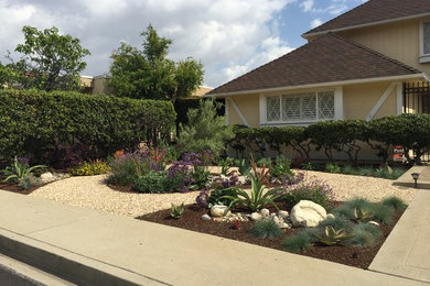ロサンゼルスにある高級な広いミッドセンチュリースタイルのおしゃれな前庭 (ゼリスケープ、日向、砂利舗装) の写真