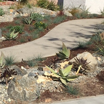 Low Water Burbank Home