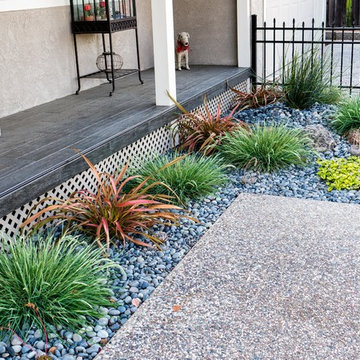 Low-water Drycreek Garden