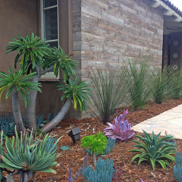 Low Water Landscape, Rancho Santa Fe, CA