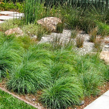 Low water, mid century modern, contemporary landscape.