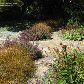 Low-Water Plants Provide Colors and  Textures in Mill Valley, CA Garden