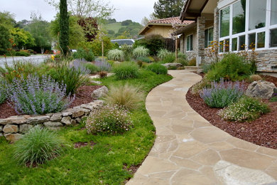 Photo of a mid-sized transitional full sun front yard stone garden path in San Francisco.