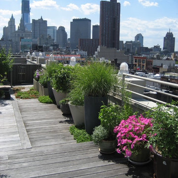 Lower East Side Rooftop Garden