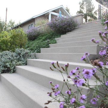 Lush & Leafy Modern Stairway