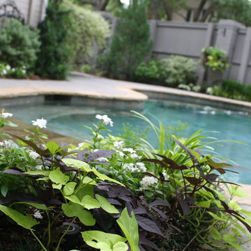Lush Backyard Landscape with Pool