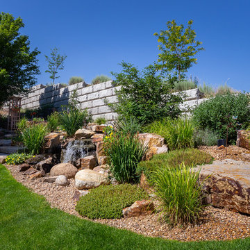 Lush Landscape with Water Feature