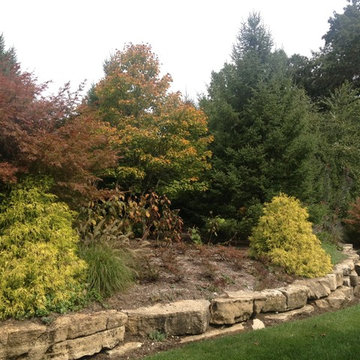 Lush Landscapes