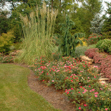 Lush Landscapes