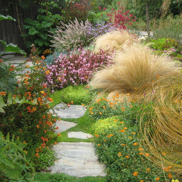 Lush Los Osos Landscape