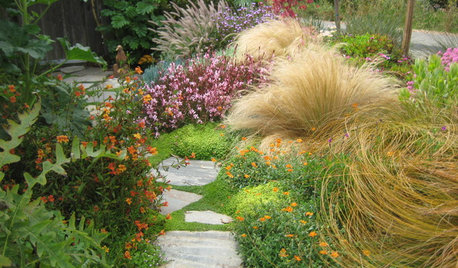 Please Touch and More: 5 Elements of a Sensory Garden