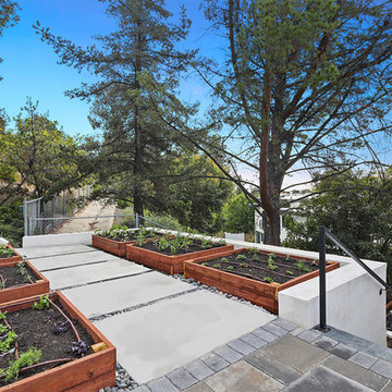 Luxurious Brentwood Home