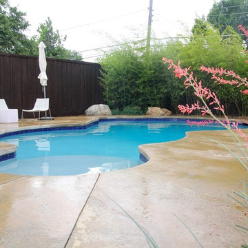 Lynngrove Pool and Outdoor Kitchen