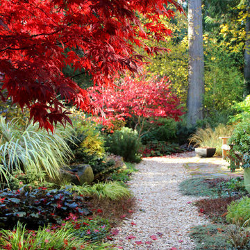 Lytle Road - Bainbridge Island