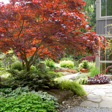 Lytle Road - Bainbridge Island