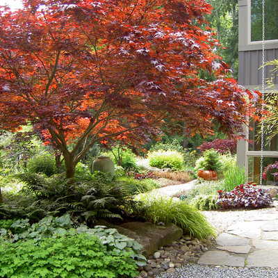Photo of a traditional shade gravel landscaping in Seattle for fall.