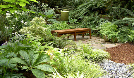 Great Garden Combo: 6 Beautiful Plants for a Shady, Wet Site