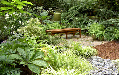 Great Garden Combo: 6 Beautiful Plants for a Shady, Wet Site