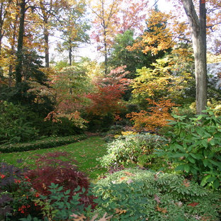 Magical Woodland Garden