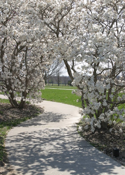 Traditional Landscape by Powell Gardens, Kansas City's Botanical Garden