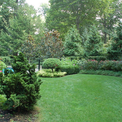 Photo of a traditional backyard landscaping in Philadelphia.