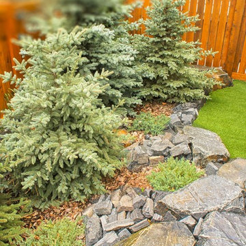 Maintenance-Free Backyard Featuring Rundle Tailings & Bark Nugget Ground Cover