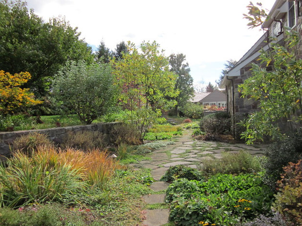 Traditional Landscape by Dear Garden Associates, Inc.