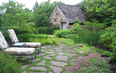 Low-Maintenance Ground Covers to Go With Your Pavers