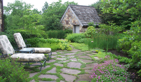 Low-Maintenance Ground Covers to Go With Your Pavers