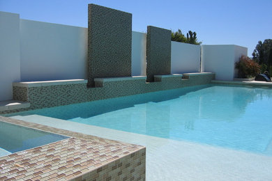This is an example of a contemporary landscaping in Las Vegas.