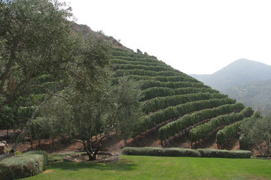 Inspiration for a huge mediterranean full sun hillside gravel landscaping in Los Angeles for summer.