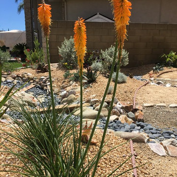 Mango Popsicle with dry river bed.